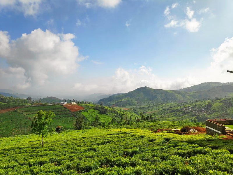 Ooty Tour Packages