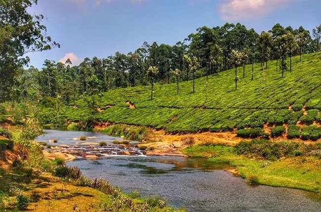 Valparai City Tour Packages